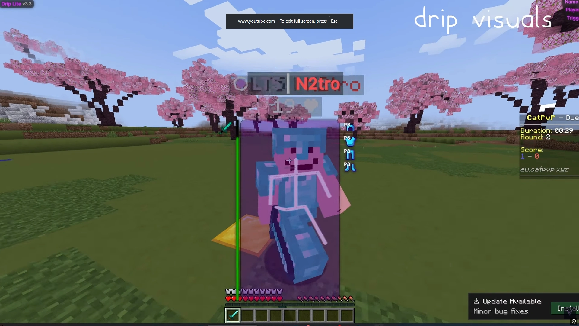 Drip Lite: Minecraft Cheat